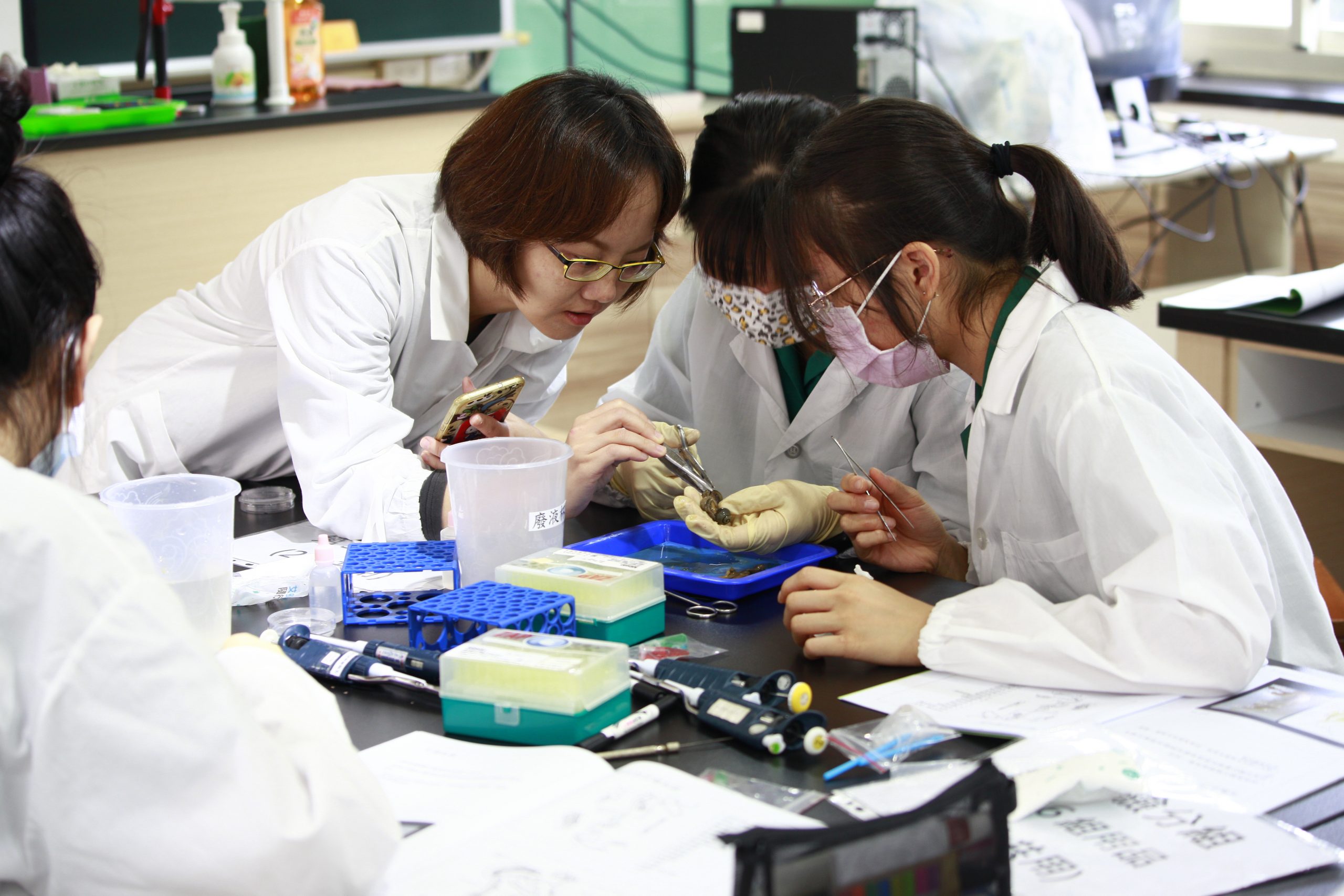 Mathematics and Science Talent Class